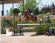 AGOSTINI UP TO DATE CampITA2013- S5 0623 : Campionati Italiani 2013, Cattolica, Horse Riviera Resort, MARINI AGOSTINI ANDREA, UP TO DATE, foto di Stefano Secchi ©